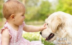 孩子和狗狗相處需要注意哪些?