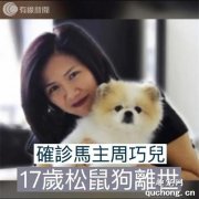 這只狗狗在隔離17天，經歷9次檢測后，去世了…