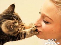 貓為什么喜歡聞主人的嘴巴?