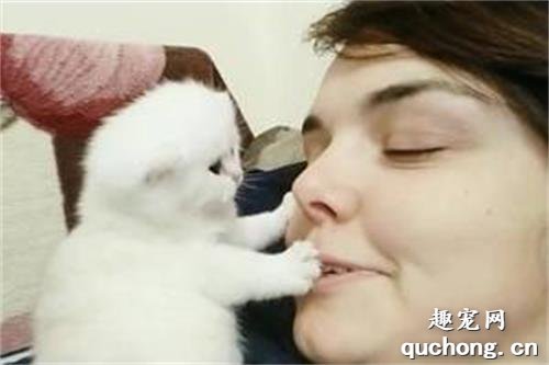 猫为什么喜欢闻主人的嘴巴?