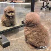聽說這是疫情結束后，大部分人都會面臨的問題...