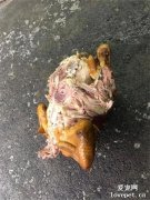 剛煮好的一只雞被偷吃成這樣
