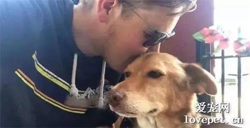 狗狗被鎖住12年，只真正活了16天，主人：下輩子，讓我再愛你！