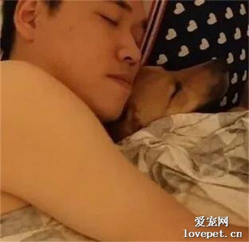 小姐姐領養了一只狗，半年后才發現，自己原來是“引狼入室”！
