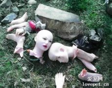 萬萬沒想到，狗子把我‘老婆’吃了！