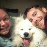 有了孩子后，朋友建議他們把家里的薩摩送走，而他們卻決定……