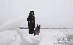 軍犬拉克退役，風雪中堅守6年，榮獲7次嘉獎，謝謝你