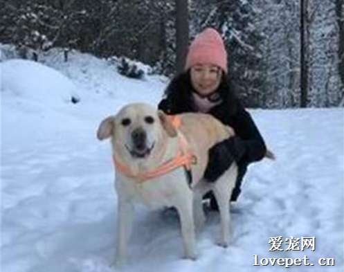 愛犬去世，當鏟屎官再去醫院時，竟然又遇到了？！