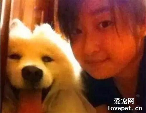 消瘦的流浪狗露宿街頭，善良女孩伸出援手，一年后讓人羨慕不已