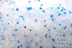 貓砂種類及優缺點 貓砂多久換一次