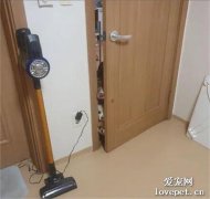 網友在房間里，幾只狗子好奇的疊在門縫隙邊看著，笑噴了！