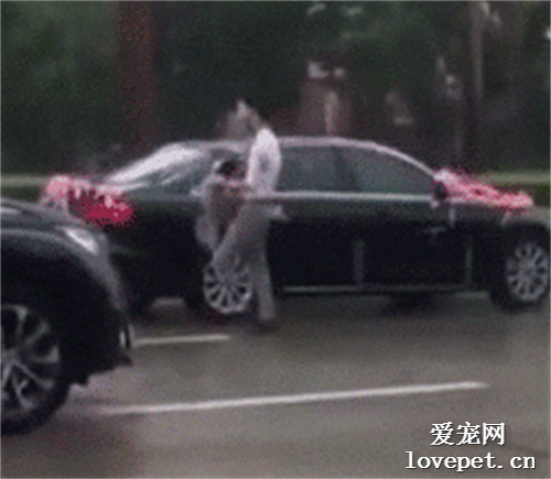 去接新娘的路上，新郎卻突然告訴司機：快停車！