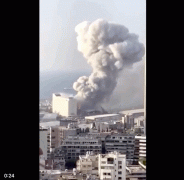 黎巴嫩爆炸，狗狗與失聯主人重逢時，它們瘋狂地搖尾巴、求抱抱…