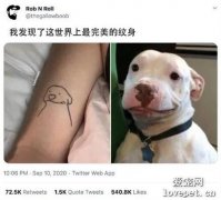主人紋了個簡易狗狗頭像，結果完成后，這神似也太像了吧！