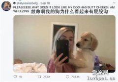 女子抱著狗子一起合照，結果屁股和尾巴，太搶鏡了！