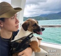 女子養了這只狗，每天都感覺怪怪的，直到看見監控后：被綠得好慘！