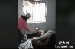 沒有愛的人，做什么寄養？