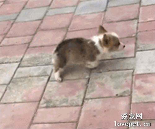 一開始看還有點心疼，看到最后。。。