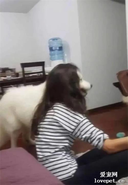 你媽長得挺白的哈哈哈哈哈哈！