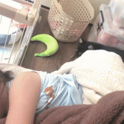 每次媽媽讓阿柴去叫女兒起床，它就會立馬照辦，手法好熟練！