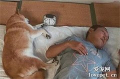 鬧鐘總是不響，導致網友天天上班遲到，查看監控后讓他哭笑不得！