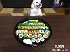 狗狗饞家里的壽司拼盤，它居然發揮了這個特長，好長