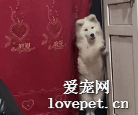 客官，來玩啊！