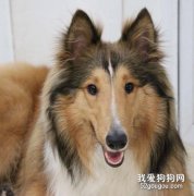 蘇牧便秘怎么辦？