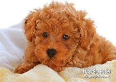 缺乏維生素A的癥狀！