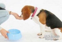 狗狗吃多少東西最好？