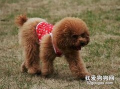 貴賓初冬美容招數揭秘