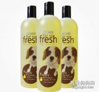 養狗狗需要給它買什么？