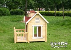 怎樣給狗狗在室外建家？