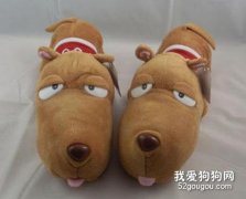 怎樣給狗狗挑選毛絨玩具？