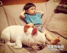 怎樣盡快跟狗狗處好關系？