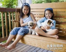 正確的抱狗狗