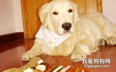 喂狗狗零食的注意事項