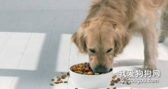 狗狗吃狗糧的好處