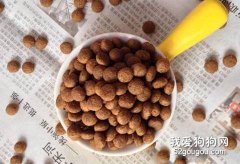 幼犬狗糧和成犬狗糧有什么區別