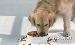 如何調整狗狗的食量？