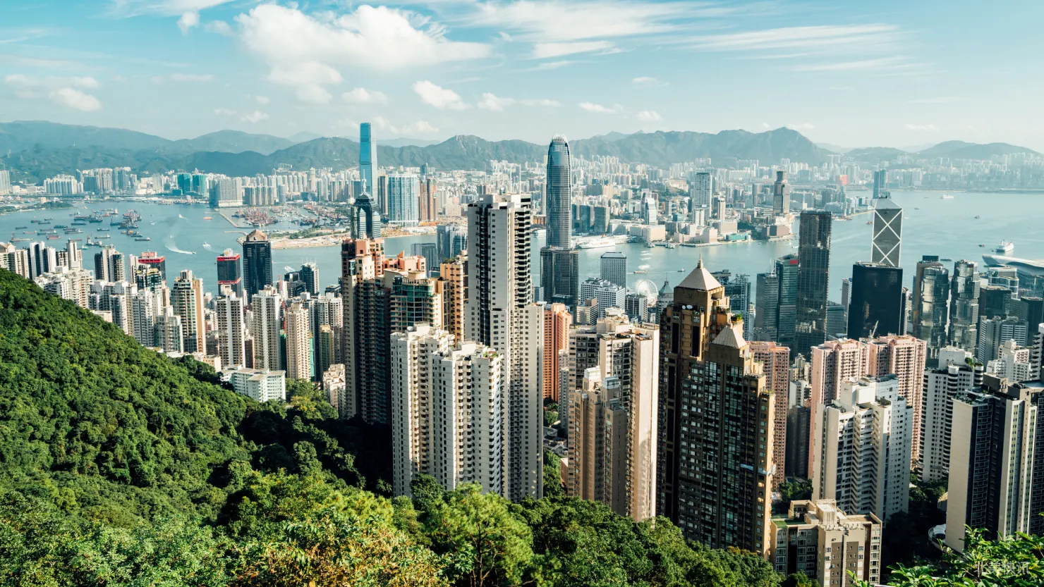 香港生物科技股Regencell市值飙至360亿美元 零收入公司为何引爆美股？