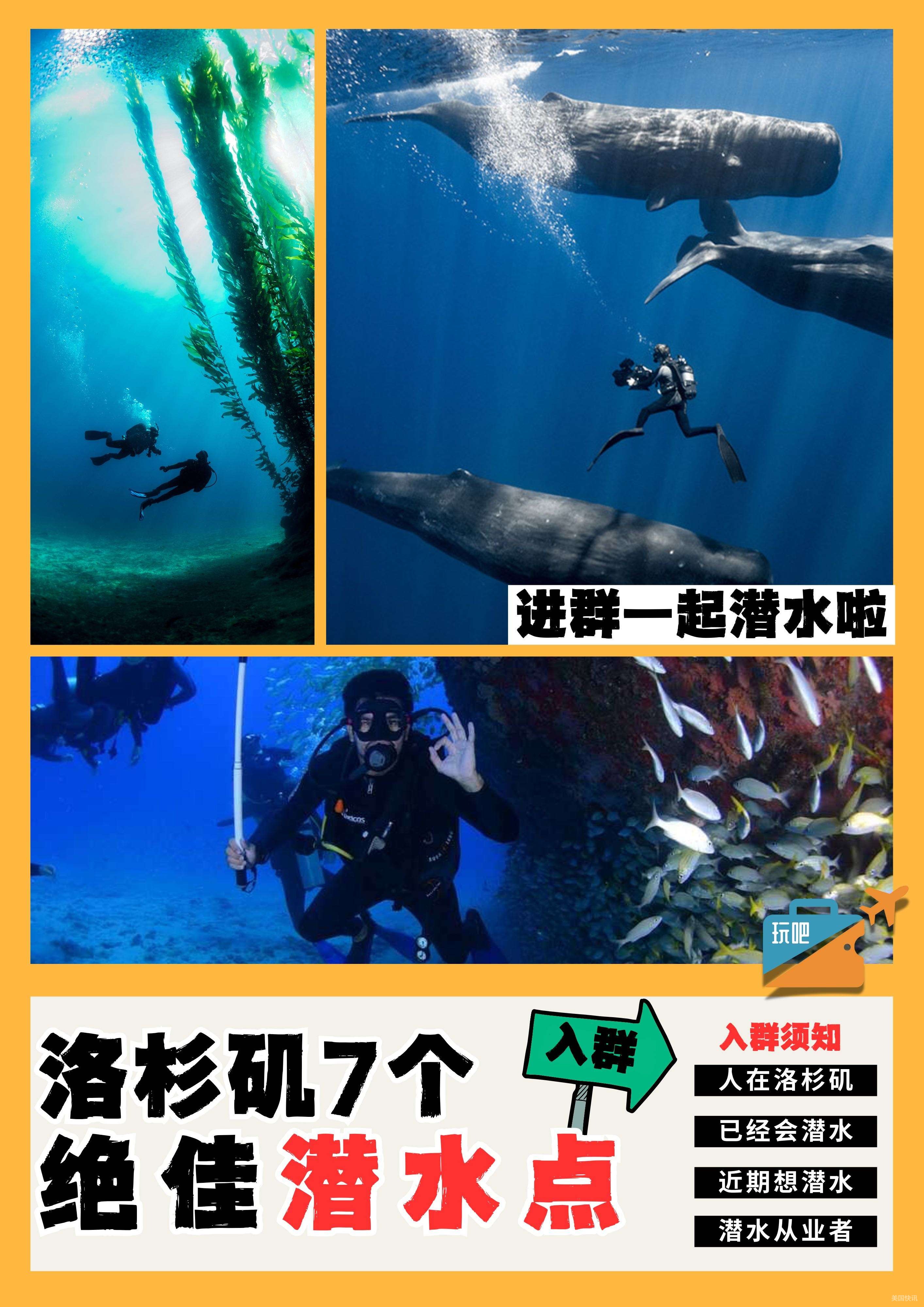 洛杉矶最佳潜水点