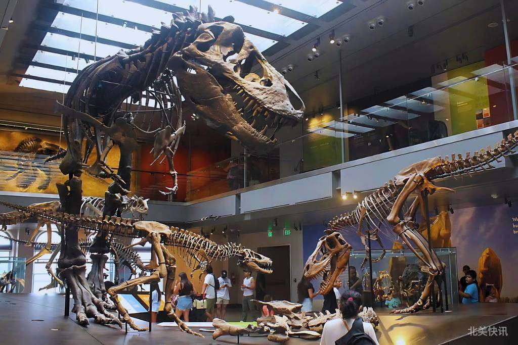 洛杉矶恐龙主题公园（一）