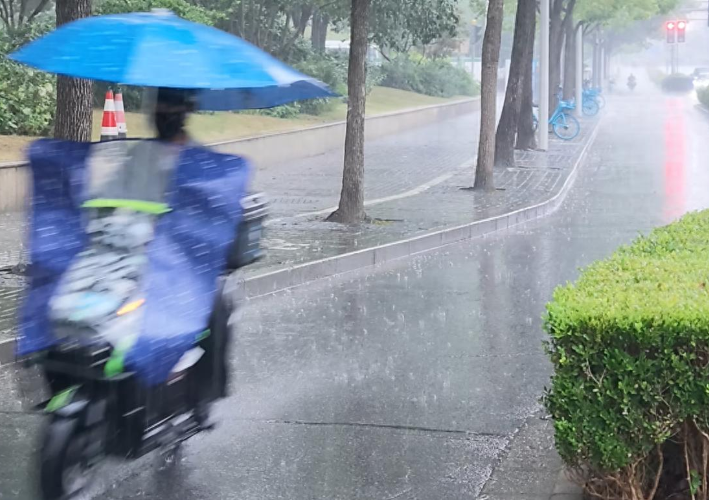 🌊 台风“白海豚”逼近华东！上海发布台风蓝色预警