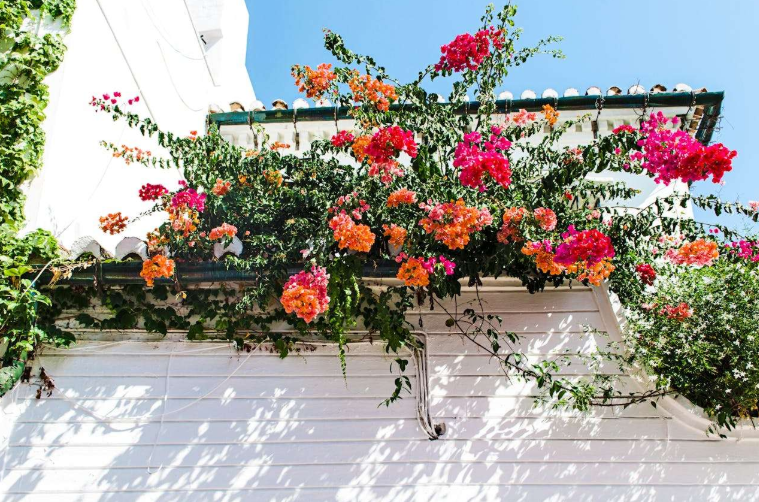 大学英语写作：20个常用过渡句型与例句（四六级适用）