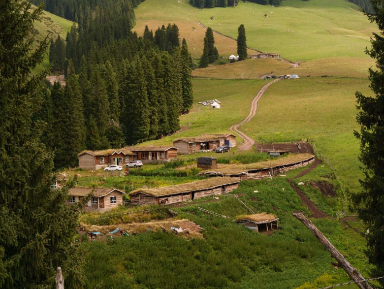 双语阅读 | 白哈巴：在中国最美村庄，享受生命的暖意(风景描写英文)