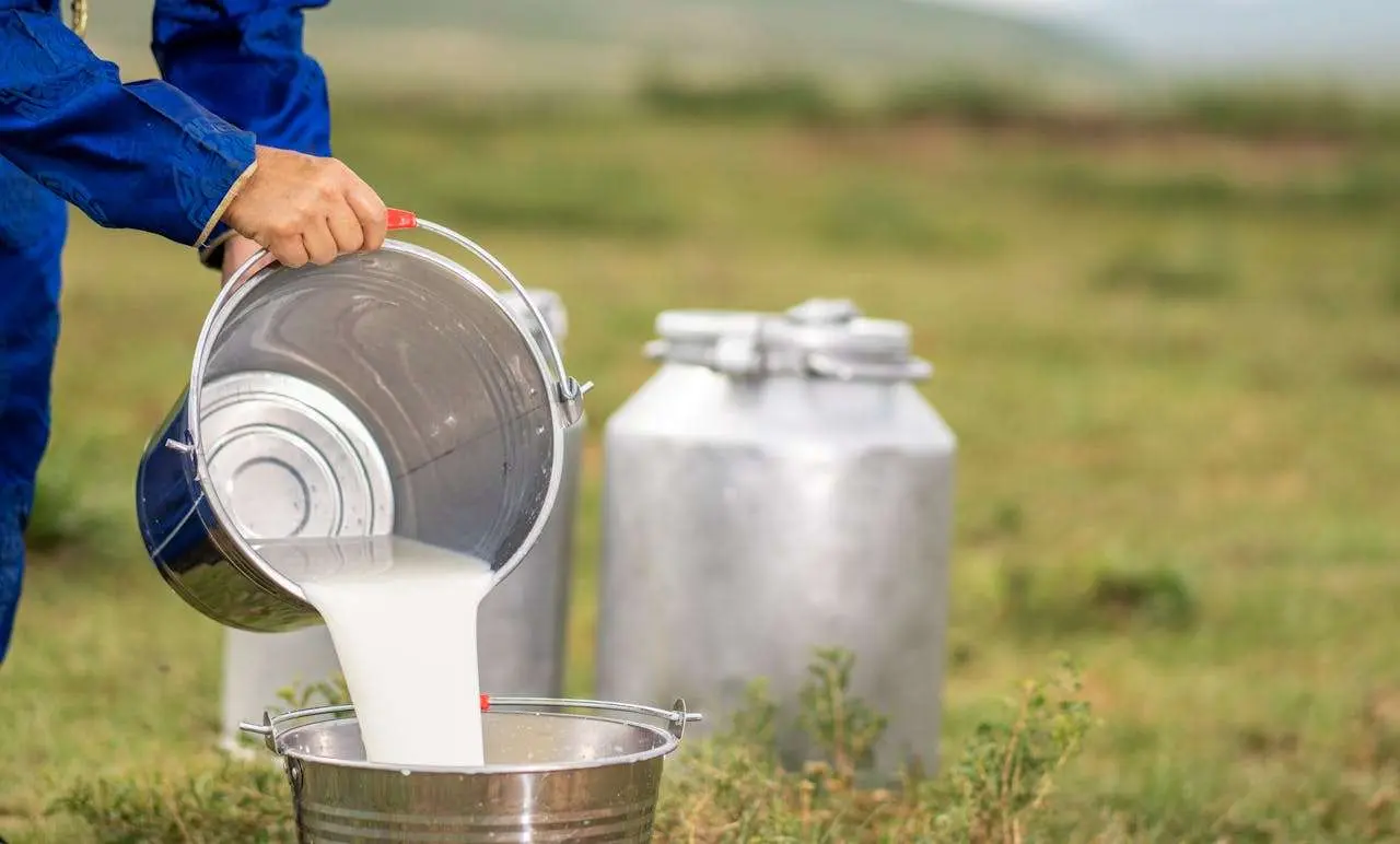 水滴英语小短文，用阅读记住10000单词（食品处理主题 unpasteurized未巴氏消毒，高效记单词）