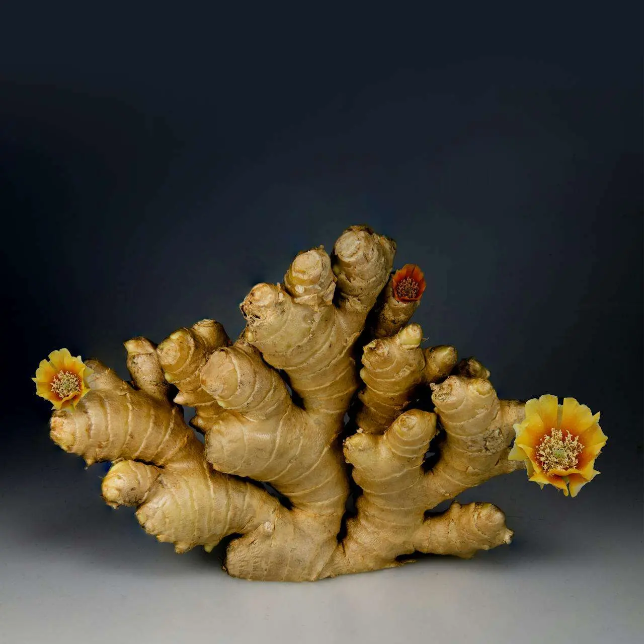 水滴英语小短文，用阅读记住10000单词（香料类主题 ginger姜，高效记单词）