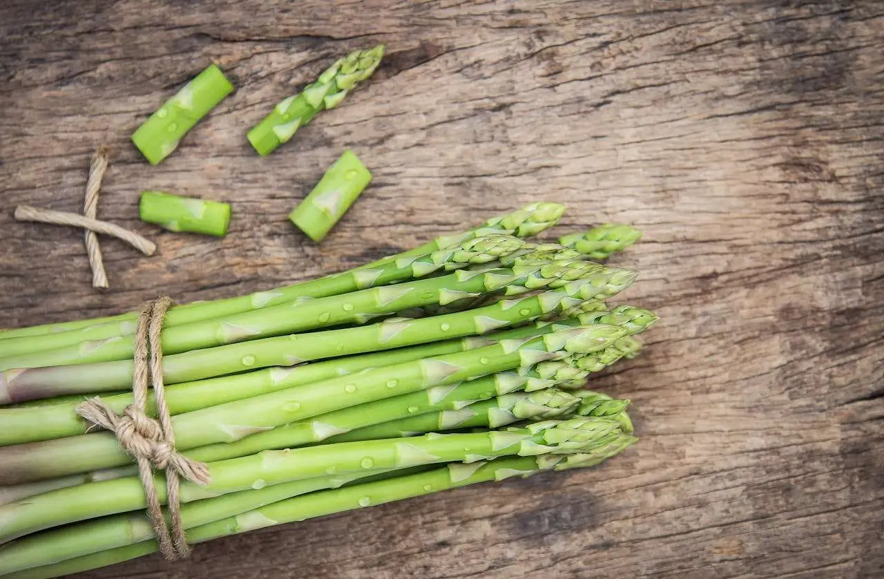 水滴英语小短文，用阅读记住10000单词（蔬菜类主题 asparagus 芦笋，高效记单词）