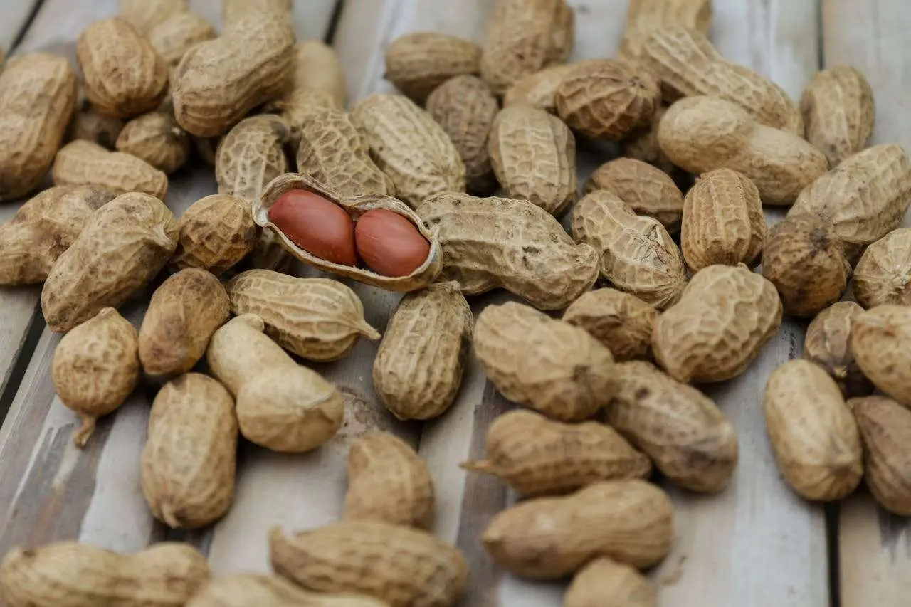 水滴英语小短文，用阅读记住10000单词（坚果类主题 peanut 花生，高效记单词）